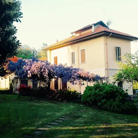 Guest house Swanlake 3*