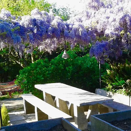 Guest house Swanlake