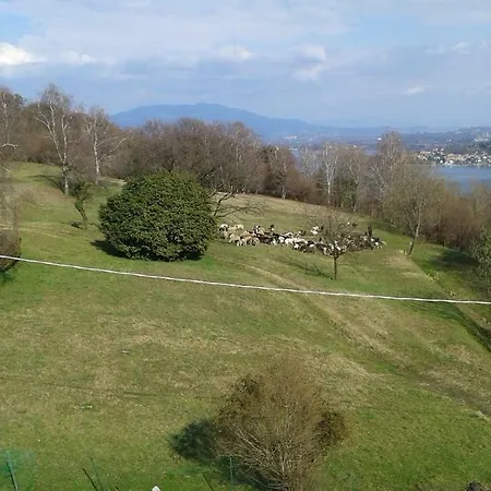 Maison d'hôtes Swanlake