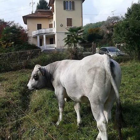 Swanlake Guest house Nebbiuno