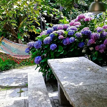 Guest house Swanlake 3*