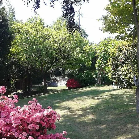 Guest house Swanlake