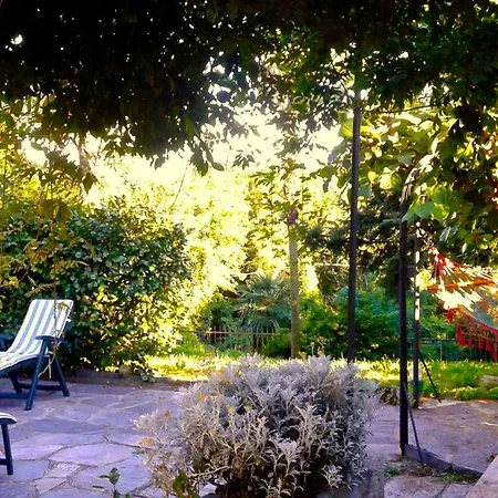 Swanlake Guest house