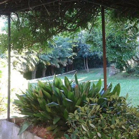 Swanlake Guest house 3*