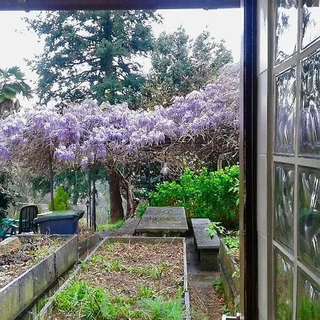Swanlake Guest house 3*