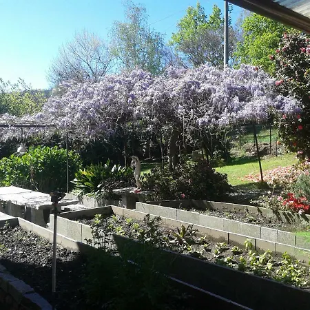 Guest house Swanlake 3*