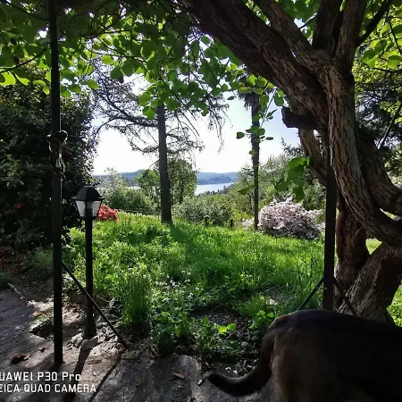 Guest house Swanlake