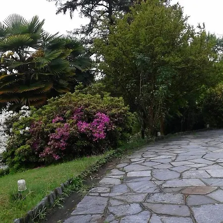 天鹅湖旅馆