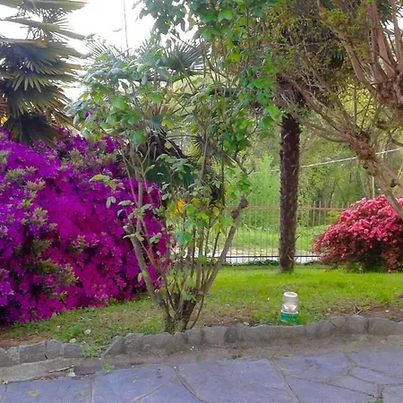 Swanlake Guest house